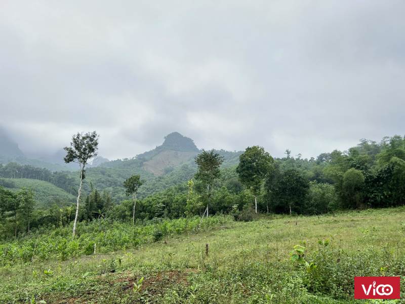 Bán lô 1800m2/ 400m thổ cư (thực tế gần 3000m) ở Kim Bôi, Hòa Bình