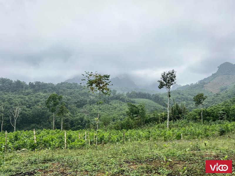 Bán lô 1800m2/ 400m thổ cư (thực tế gần 3000m) ở Kim Bôi, Hòa Bình