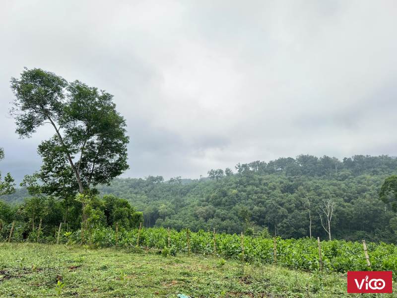 Bán lô 1800m2/ 400m thổ cư (thực tế gần 3000m) ở Kim Bôi, Hòa Bình