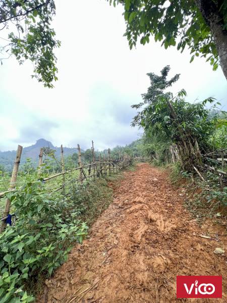 Bán lô 1800m2/ 400m thổ cư (thực tế gần 3000m) ở Kim Bôi, Hòa Bình