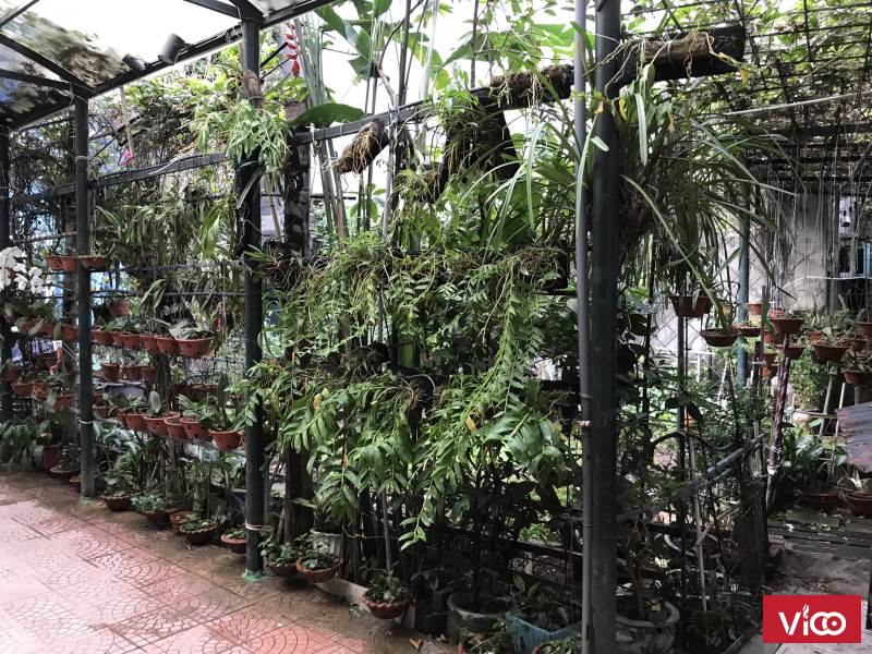 chính chủ cần bán gấp biệt thự nhà vườn 245m2 tại phố hoàng văn thái, khương trung