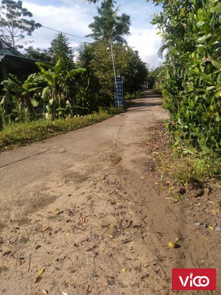 Bán 2925m2 vườn tại Ấp Nhơn Phú 1, Xã Nhơn Nghĩa A, Châu Thành A Hậu Giang.