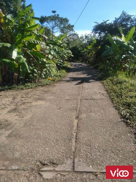 Bán 2925m2 vườn tại Ấp Nhơn Phú 1, Xã Nhơn Nghĩa A, Châu Thành A Hậu Giang.
