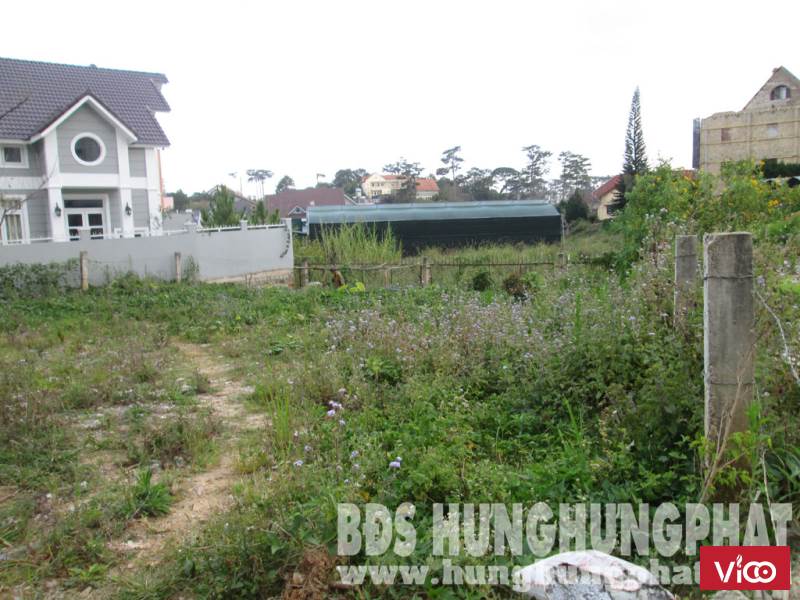 Bán đất biệt thự đường Lữ Gia, Phường 9, TP. Đà Lạt, Lâm Đồng.