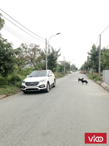 Lô mặt tiền đường số 12 KDC Thanh Yến, 4 x 18m, 76m Thổ cư Bến Lức Long An