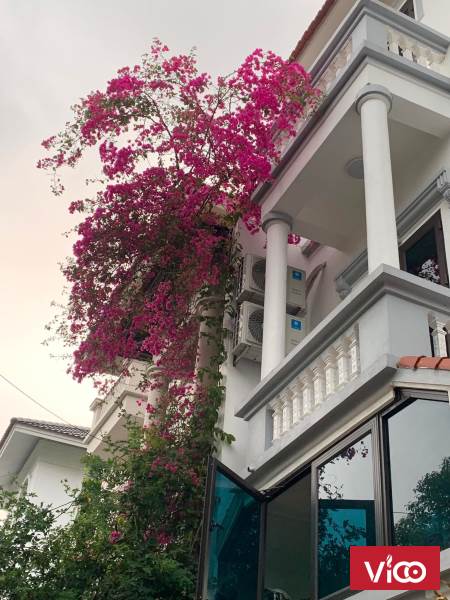 bán biệt thự gần khu du llịch thuộc xã An Khánh,Hoài Đức