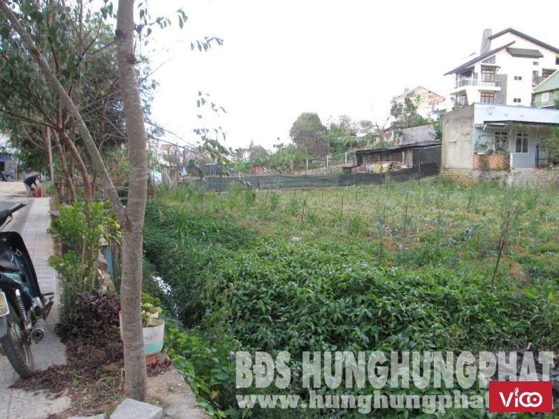 Bán đất Biệt Thự Giá Rẻ 2MT An Bình P.3 TP.Đà Lạt