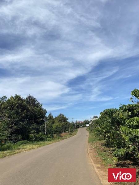 BÁN CHẠY NỢ