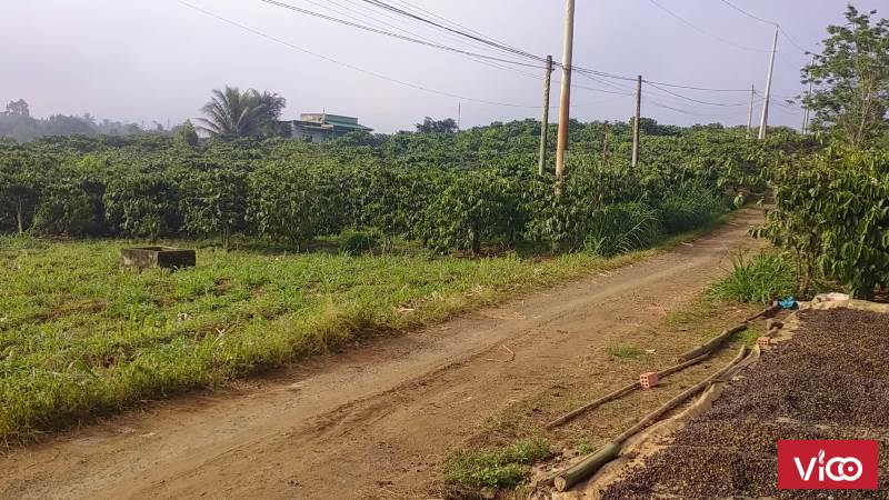 7500 mét vuông cách Tâm Châu Lộc An 5 Km