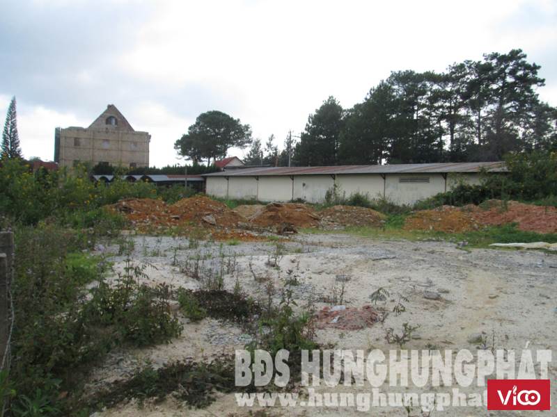 Bán đất biệt thự HXH Trần Quang Khải P8 Tp Đà Lạt