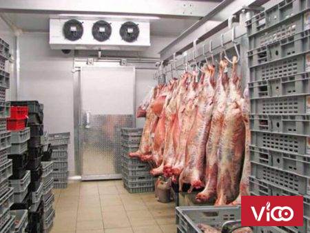 Thi công kho lạnh bảo quản thịt heo uy tín
