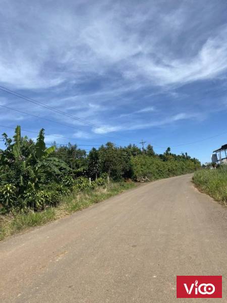 bán nhanh bán gấp