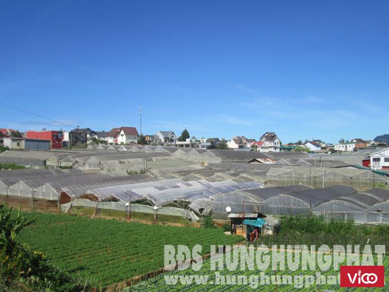 Bán lô đất nông nghiệp đường An Tôn phường 5 Đà Lạt 77m2 giá 850 triệu