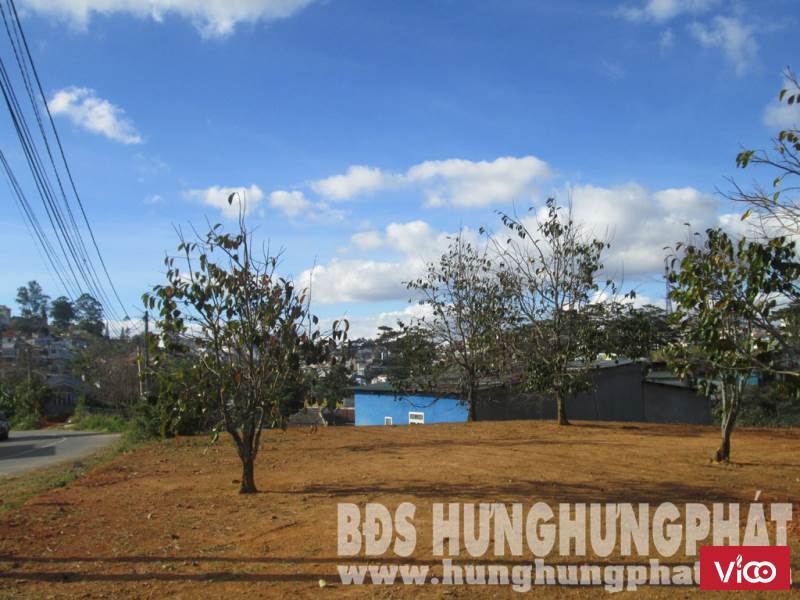 Bán đất biệt thự KQH dân cư Đông Tĩnh, Phường 8, TP. Đà Lạt, Lâm Đồng.