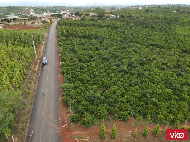 Chính chủ cần bán lô đất đẹp vị trí đắc địa tại xã Liên Hà, huyện Lâm Hà, tỉnh Lâm Đồng.