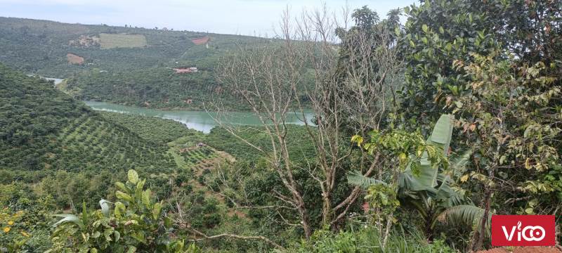 Chính Chủ bán lô đất thôn 4 Tân Thượng Di Linh Lâm Đồng