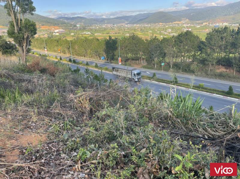 A31. Cần bán 2310m2, Sổ hồng riêng 90m mặt tiền trước và sau, giá bán 8,6 tỷ.