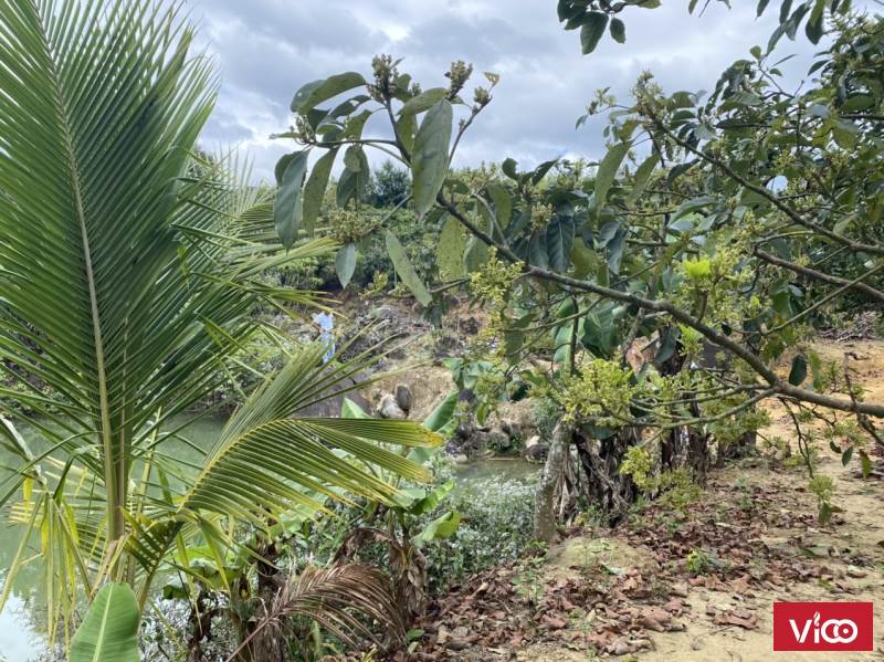 Bán nhanh 1,3 hec Tân lạc, Di Linh giá 350tr xào 400 thổ cư, cách QL 50 m2