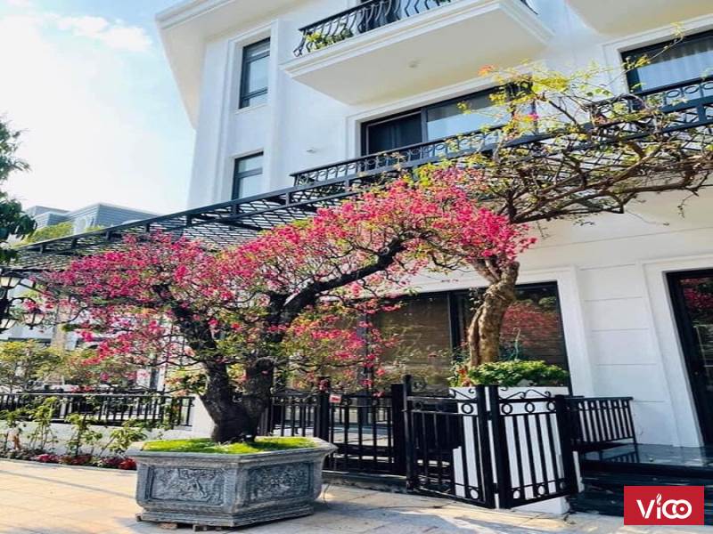 Chính Chủ Bán 2 Căn Biệt Thự LIDECO Hoài Đức Giá Tốt Cho Khách Chốt Trước Tết