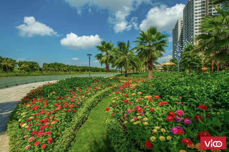Chỉ 250 triệu đã sở hửu ngay căn chung cư Vinhome Ocean Park Gia lâm 2 phòng ngủ