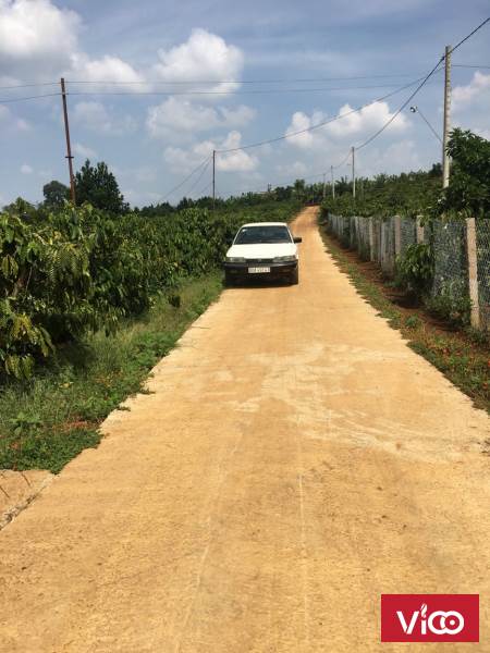 Bán 49m đất mặt tiền đường bê tông, gần cầu số 1 Hoà Ninh, Di Linh, Lâm Đồng.