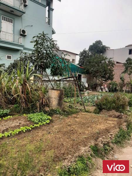 Tiên Du, Bắc Ninh, 90m2, MT 6.8m, nở hậu, đường 2 oto tránh nhau thoải mái, đầu tư tốt
