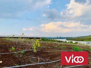 Cần bán 6 lô đất vườn nghỉ dưỡng tọa lạc kế hồ ĐạToong , xã Phúc Thọ ,huyện Lâm Hà, tỉnh Lâm Đồng