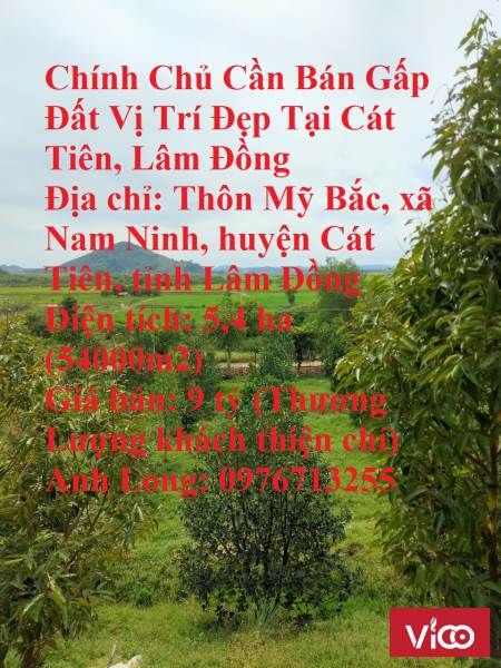 Chính Chủ Cần Bán Gấp Đất Vị Trí Đẹp Tại Cát Tiên, Lâm Đồng