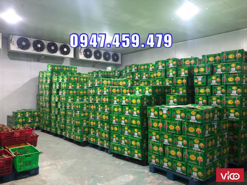 Bàn giao kho lạnh bảo quản thanh long
