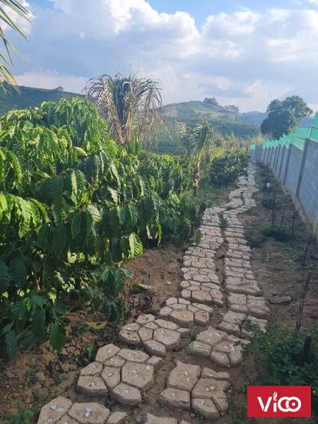 CẦN BÁN NHANH LÔ ĐẤT NAM BAN LÂM HÀ LÂM ĐỒNG