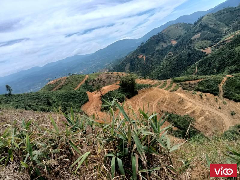 Bán 5,3 ha đất view đẹp ngất ngây.từ trên cao nhìn dc thành phố bảo lộc