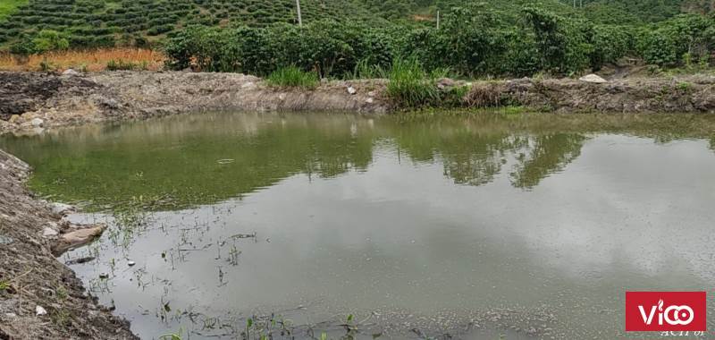 Vườn tâm huyết siêu đẹp chính chủ cần bán tại Thôn 11, Đại Lào, Bảo Lộc