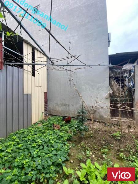 6 LÔ ĐẤT ĐẸP ĐÔNG ANH 63M2 MẶT TIỀN 4 M NHỈNH NHỈNH 2 tỷ LIÊN HỆ MS.THIÊM 0399961886