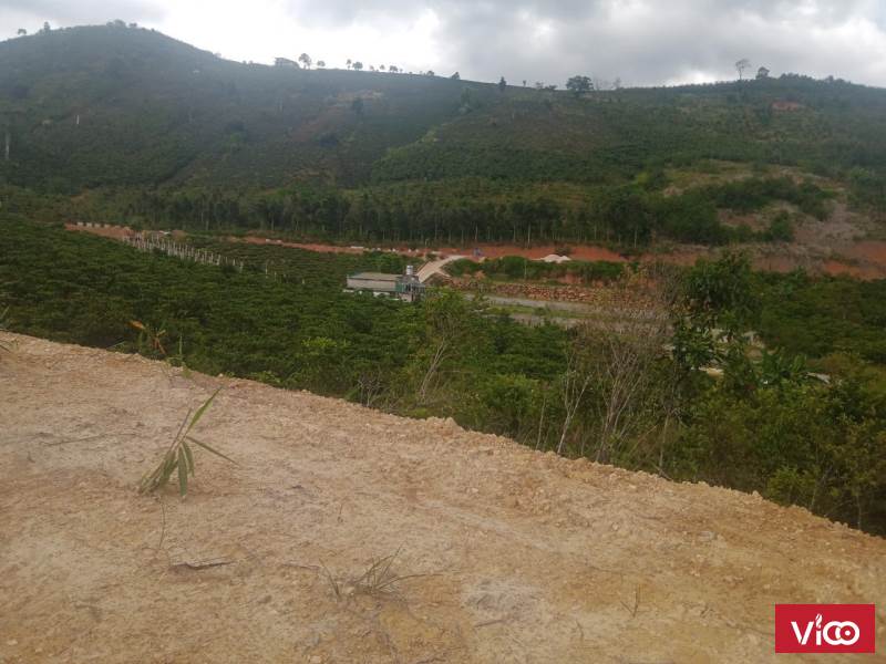 BỎ PHỐ VỀ VƯỜN Chính chủ cần bán đất vườn view đồi, suối hẻm đường Hồng Thái, Bảo Lộc