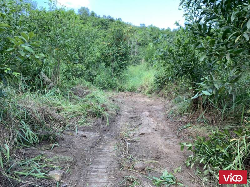 Chính Chủ Bán Lô Đất Vị Trí Đắc Địa tại xã Diên Lâm, huyện Diên khánh, tỉnh Khánh Hoà