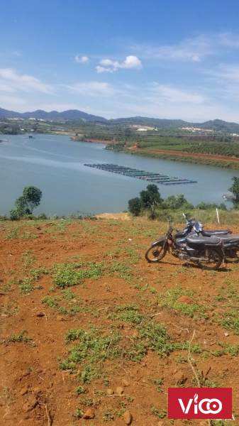 Bán gấp lô đất nghỉ dưỡng view Hồ Mai Thành Lộc Tiến Bảo Lộc