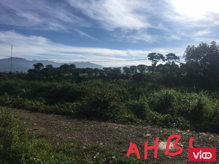 bán đất thôn 10 đại lào giá tốt nhất khu vực