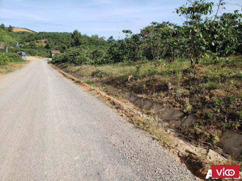 Bán đất nghỉ dưỡng mặt đường nhựa, gần khu dân cư, giá rẻ