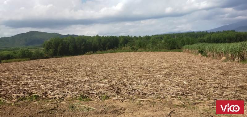 CẦN BÁN ĐẤT thôn 4, xã diên đồng, dk dt 9528,0m2 đất cây hàng năm khác giá bán 3 tỷ