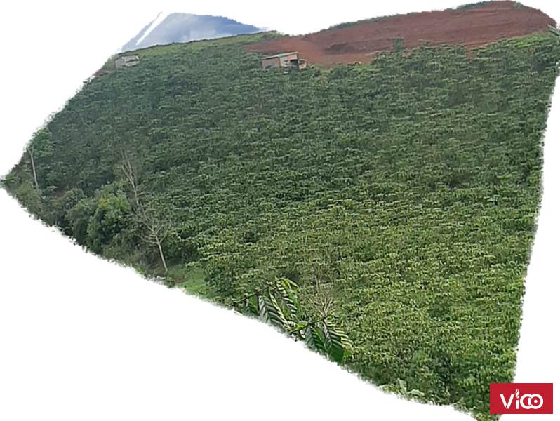 Bán 6,2 sào đất Thôn 7 Lộc Ngãi, Bảo Lâm, Lâm Đồng