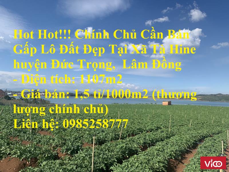 Hot Hot!!! Chính Chủ Cần Bán Gấp Lô Đất Đẹp Tại Xã Tà Hine huyện Đức Trọng, Lâm Đồng