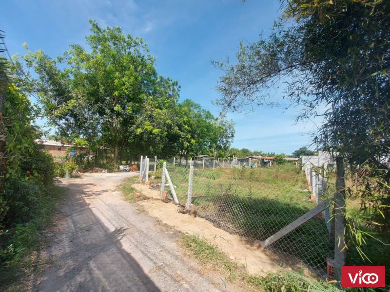 Bán đất ở thổ cư 479m tại đường D19, Xã Đức Lập Thượng, Huyện Đức Hòa, Long An giá 1.65 tỷ