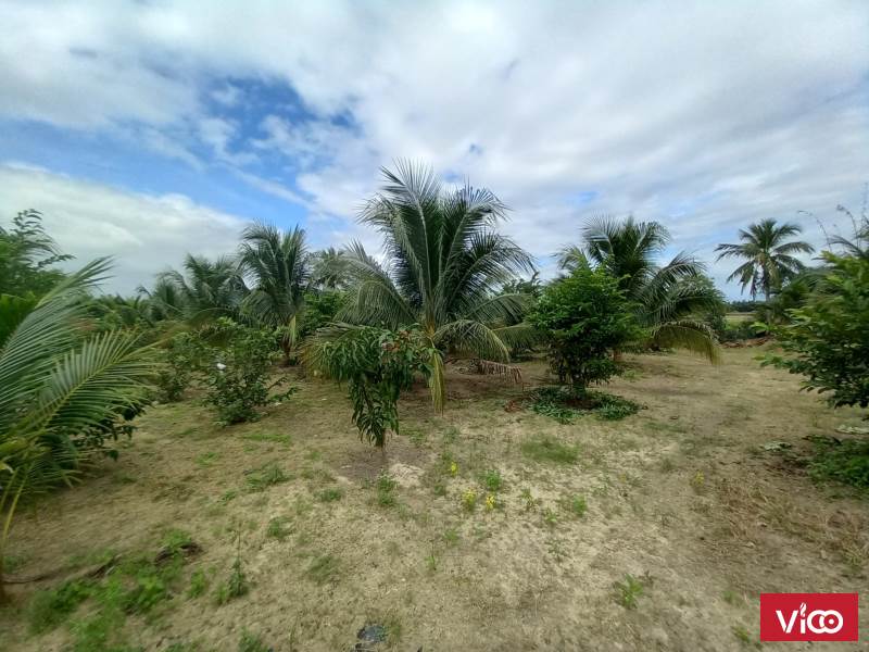 BÁN LÔ ĐẤT HƠN 1Hecta. cách DT5 900m Ninh Hưng suối chạy dọc lô đất giá 5tỉ5 ! 55m ngang mặt tiền