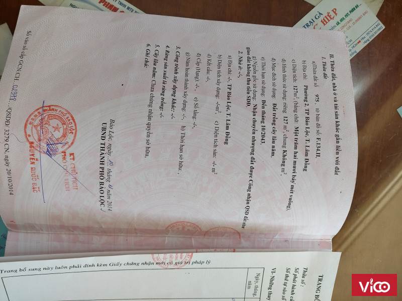 Chính chủ kẹt tiền cần bán gấp căn nhà cấp bốn tại hẻm 285/28 Phan Đình Phùng P2 Tp Bảo Lộc