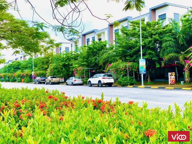 bán nhà 3 tầng đường 56m giá hợp lý để đầu tư