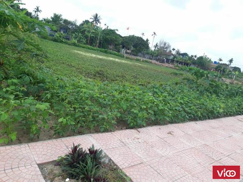 Bán 245m2 đất Thái Thuần Thái Thụy Thái Bình, giá 550tr LH 0948696518