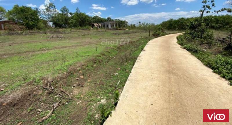 Cần bán Đất Lộc Thái 245 m2 cách Quốc lộ 13 gần 600m