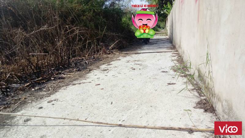 Chính Chủ Bán Gấp Đất Vị Trí Đẹp Tại Ấp Tân Quơi, xã Tân Hòa, TP Vĩnh Long