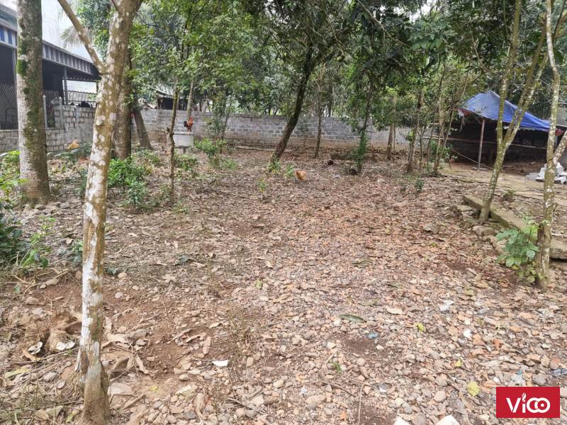 Nhỉnh 2 tỷ sở hữu ngay mạch khoáng nóng quý giá từ thiên nhiên