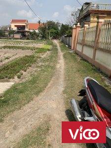 Bán gấp hai lô đất liền kề vị trí đẹp tại Hải Dương